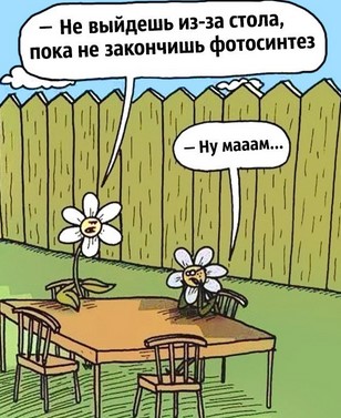 Как предсказать погоду по облакам