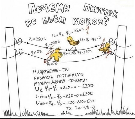 Почему человек дрожит от холода?